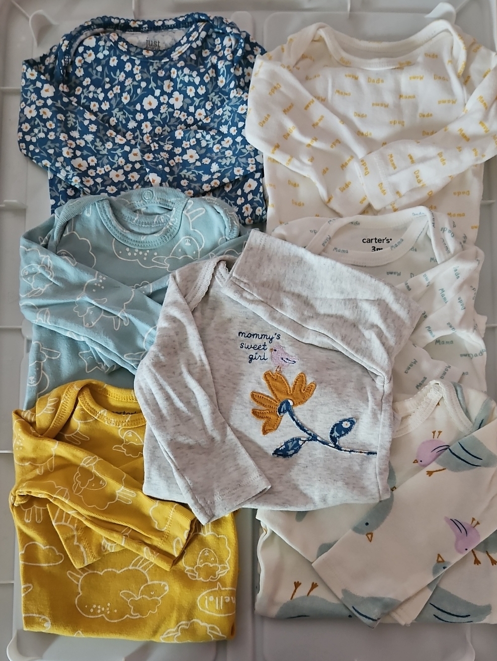 Baby Girls Long Sleeve Onsies